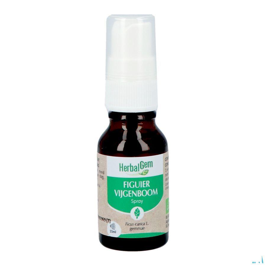Herbalgem Figuier Bio Spray 15 ml