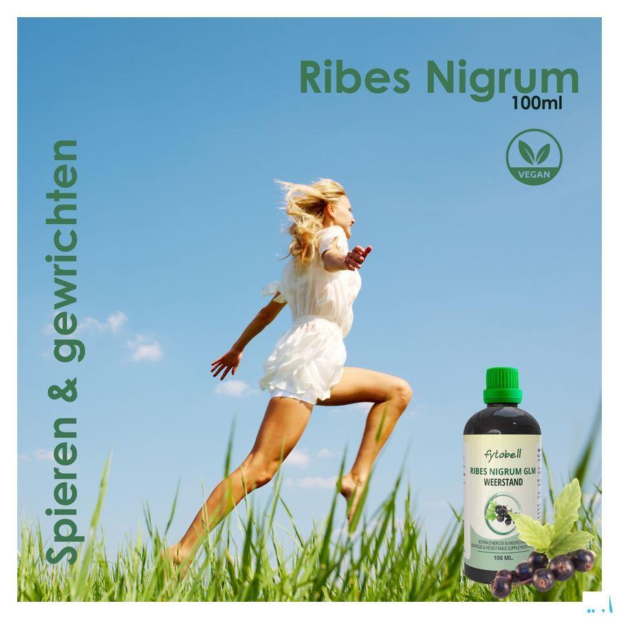 Fytobell Ribes Nigrum Glm 100 ml