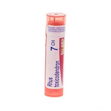Rhus Toxicodendron 7CH Gr 4g  -  Boiron