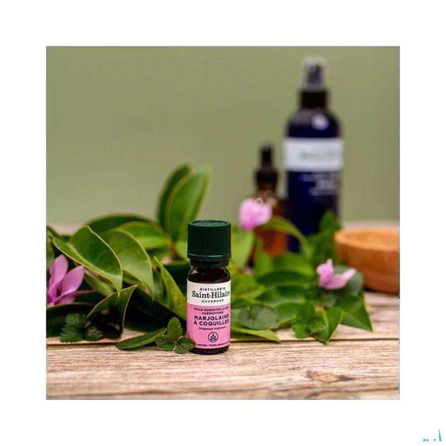 Marjolaine A Coquille Bio Huile Essentielle 10 ml  -  Bioholistic Diffusion