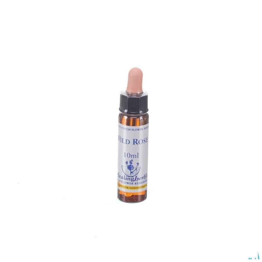 Healing Herbs Wild Rose 10 ml