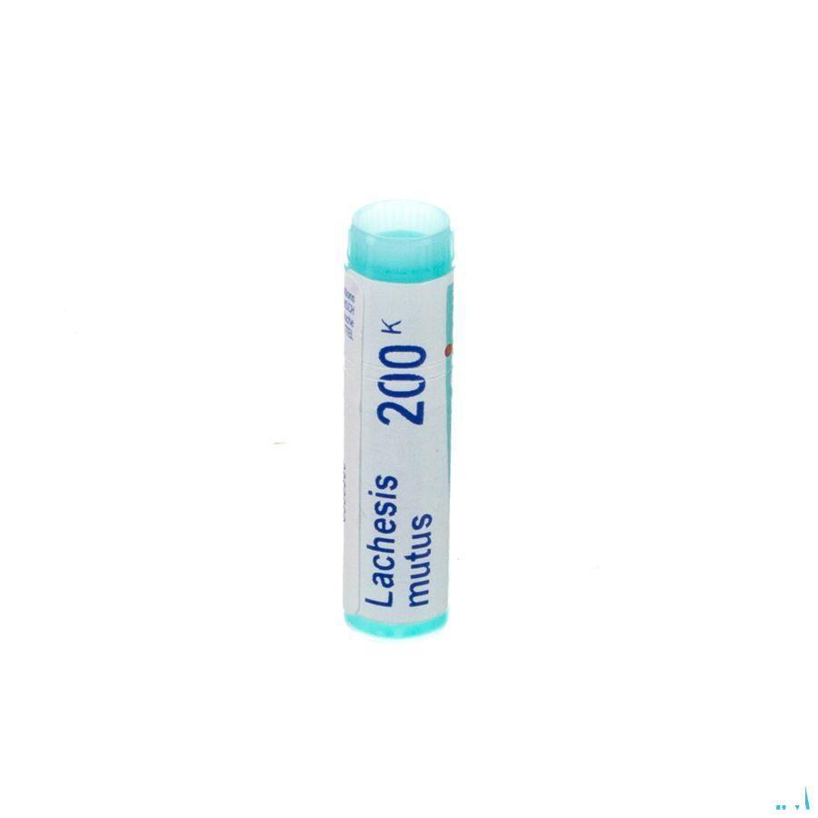 Lachesis Mutus 9CH Gl  -  Boiron