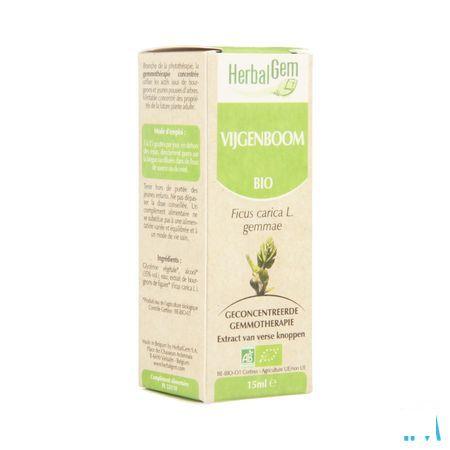 Herbalgem Vijgenboom Maceraat 15 ml  -  Herbalgem