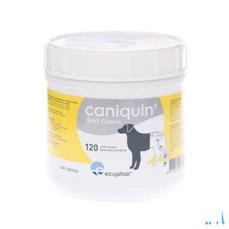 Caniquin Soft Chews 120  -  Ecuphar