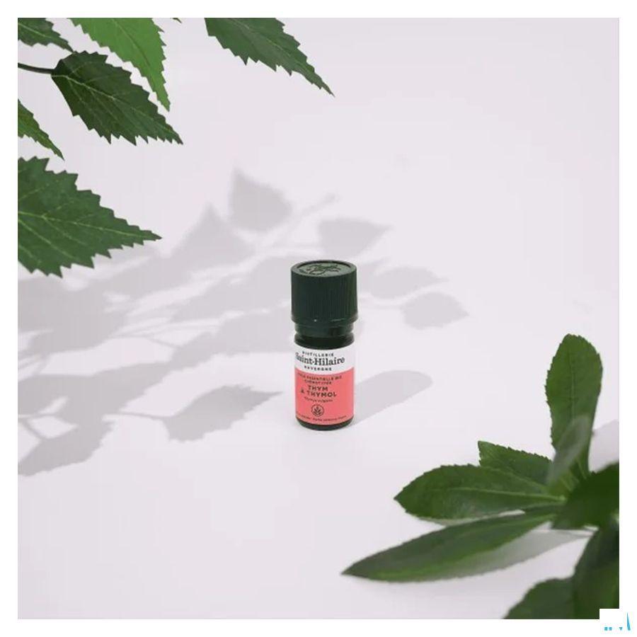 Tijm Thymol Bio Essentiele Olie 5 ml  -  Bioholistic Diffusion