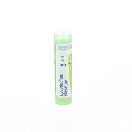 Lycopodium Clavatum 5CH Gr 4g  -  Boiron