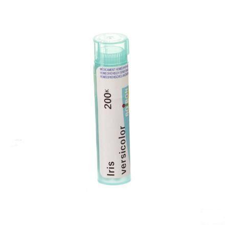 Iris Versicolor 200K Gr 4g  -  Boiron