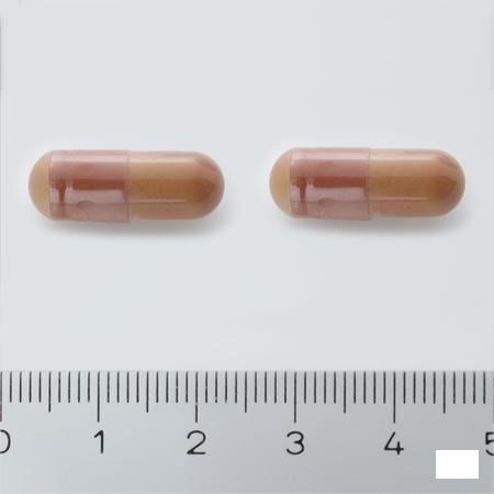 Alline Procap Capsule 180  -  Trenker