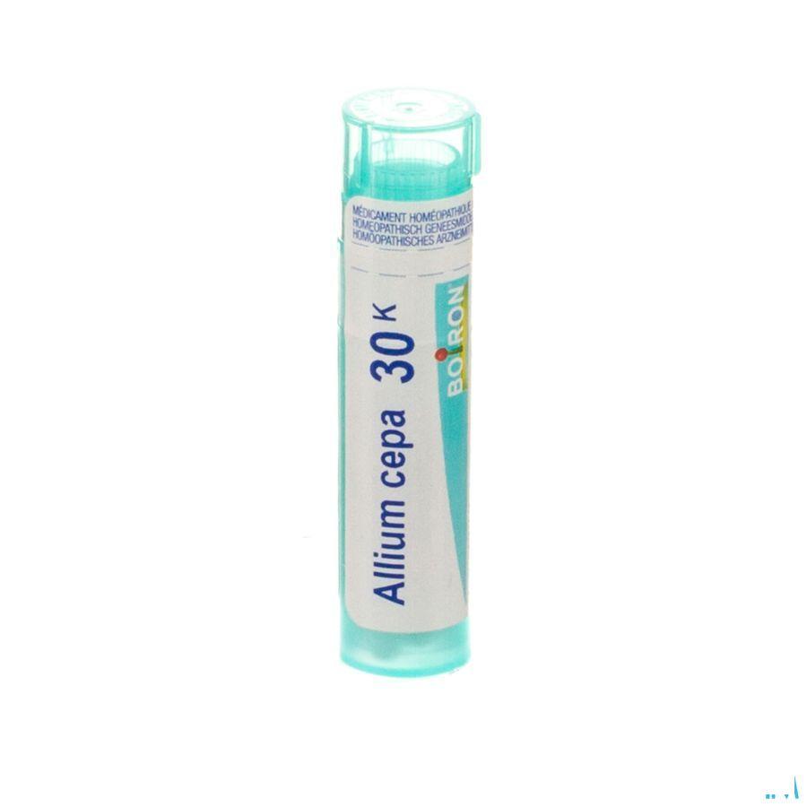 Allium Cepa 30K Gr 4g  -  Boiron