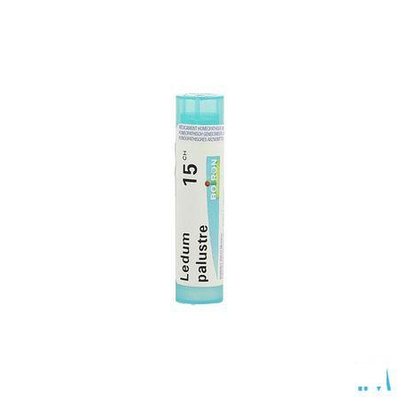 Ledum Palustre 15CH Gr 4g  -  Boiron