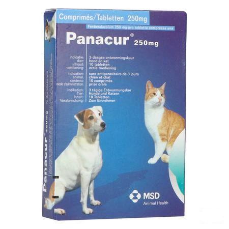 Panacur Comprimes Vet 10 X 250 mg 