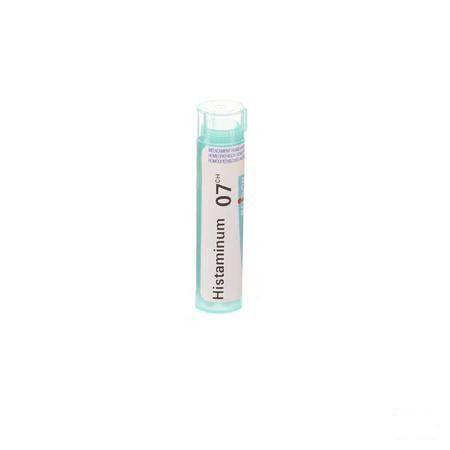 Histaminum 7CH Gr 4g  -  Boiron
