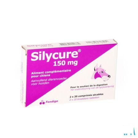 Silycure Tabletten 2x20x150 mg Blister  -  Fendigo