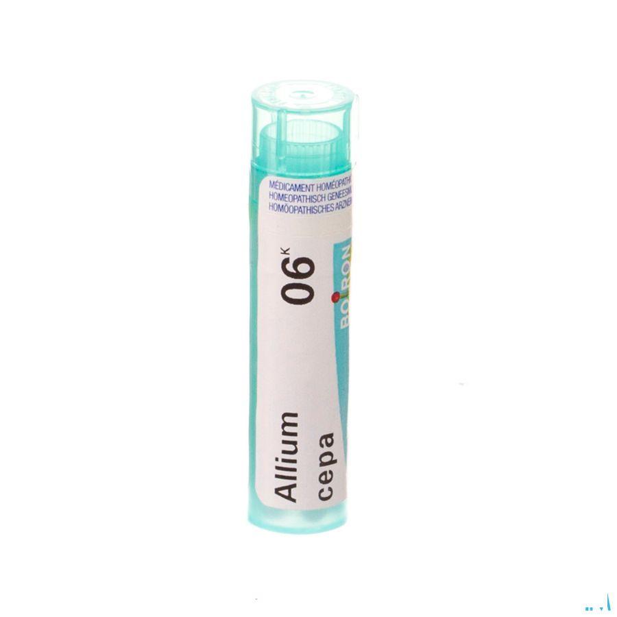 Allium Cepa 6k Gr 4g  -  Boiron