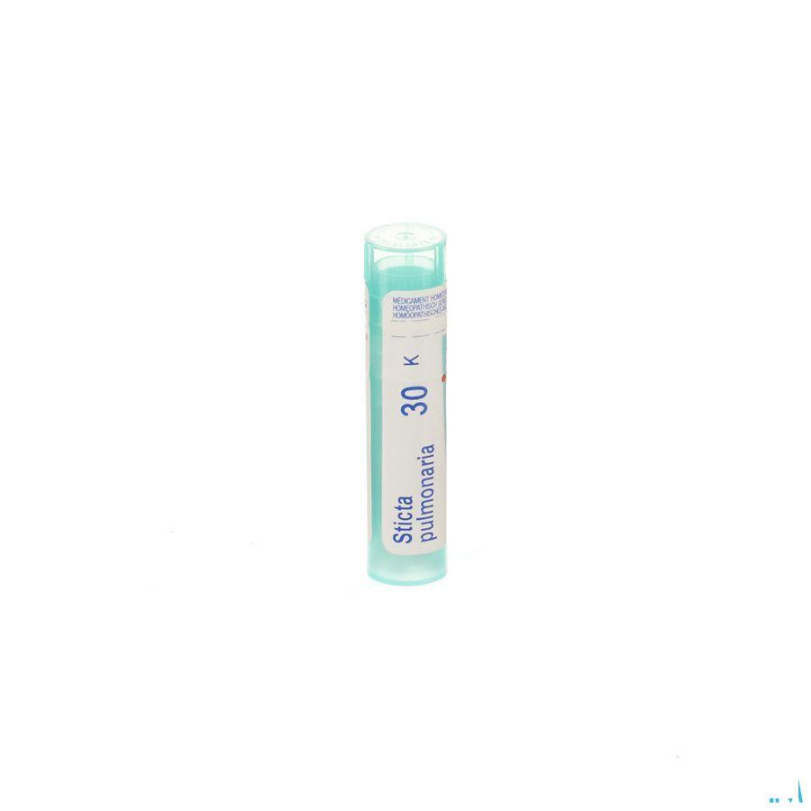 Sticta Pulmonaria 30K Gr 4g  -  Boiron