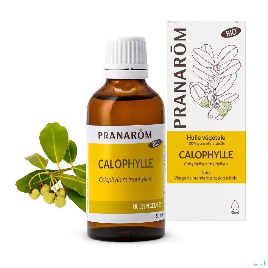 Calophyllus Bio Plantaardige Olie 50 ml  -  Pranarom