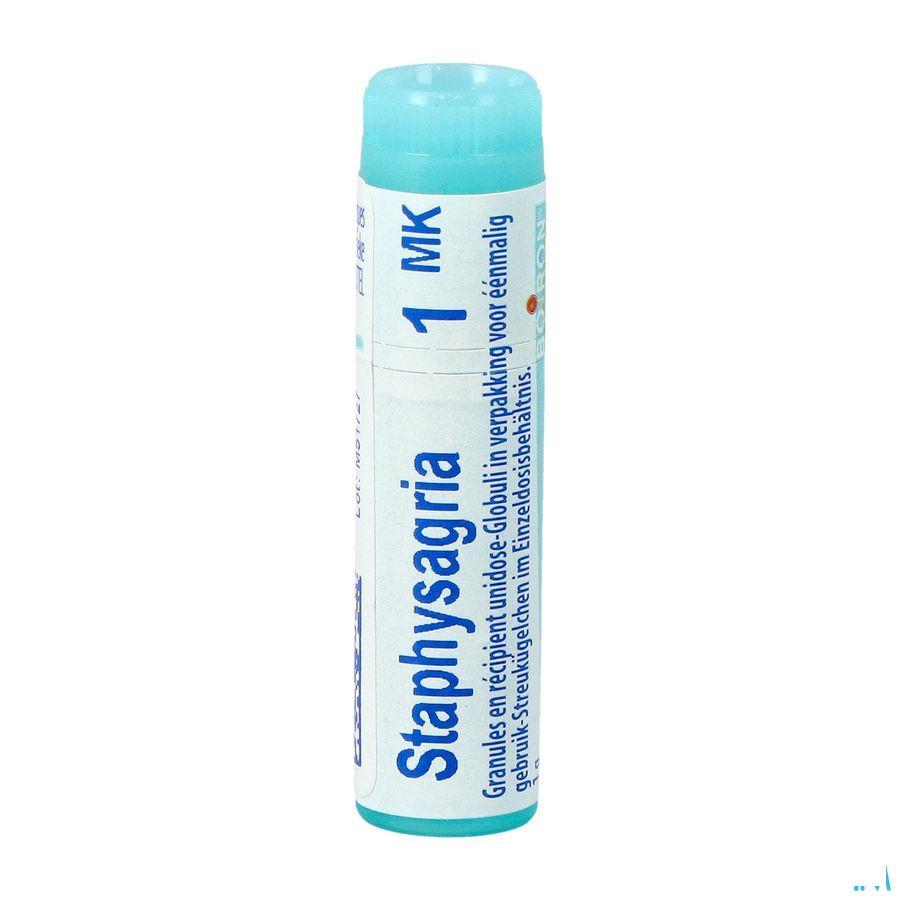 Staphysagria MK Gl  -  Boiron