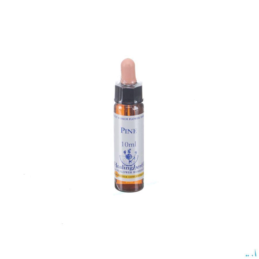 Healing Herbs Pine 10 ml