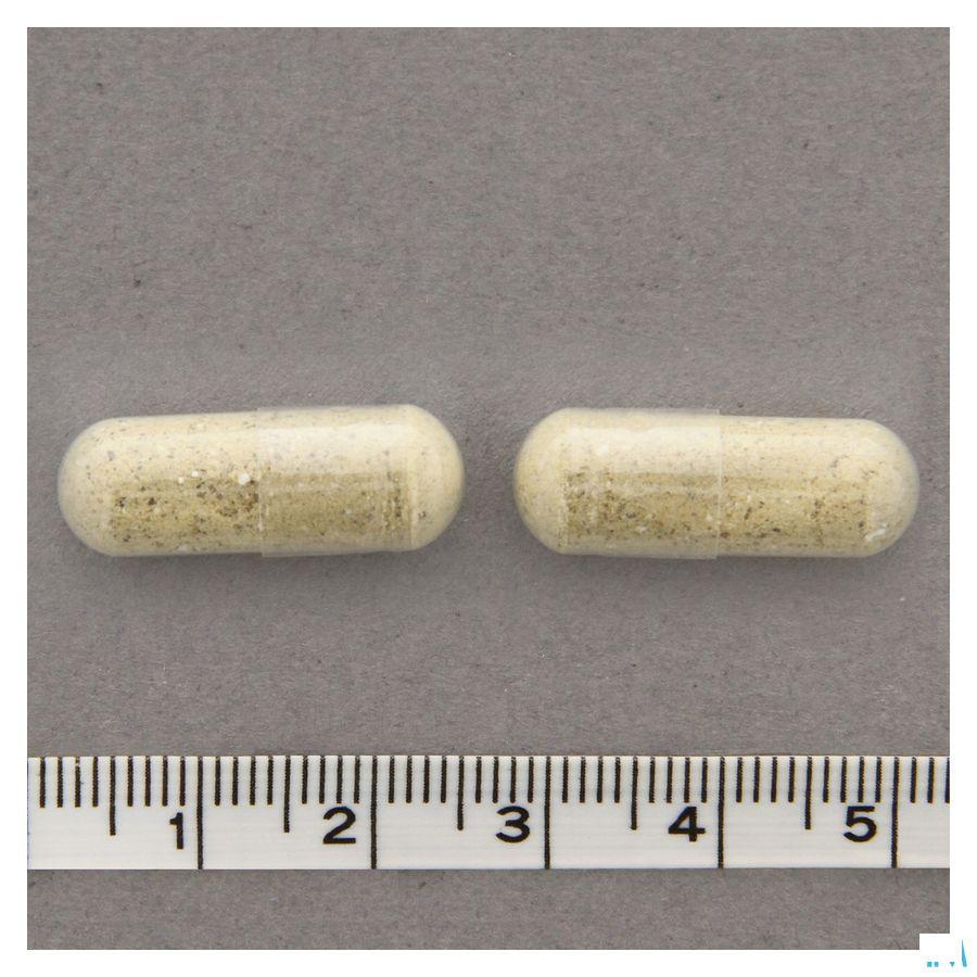 Linidol Capsule 30  -  Nutriphyt