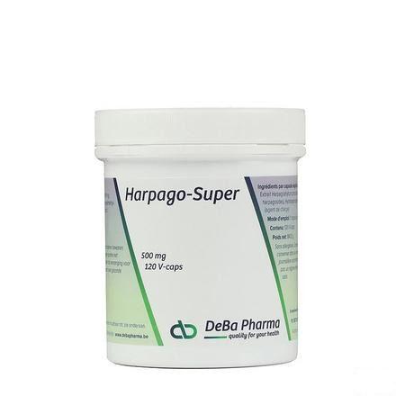 Harpago-super Comprimes 120x500 mg  -  Deba Pharma