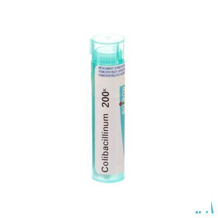 Colibacillinum 200K Gr 4g  -  Boiron
