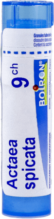 Actaea Racemosa 9CH Gr 4g  -  Boiron