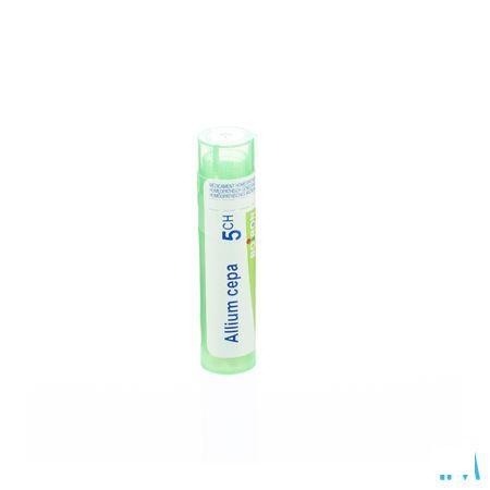 Allium Cepa 5CH Gr 4g  -  Boiron