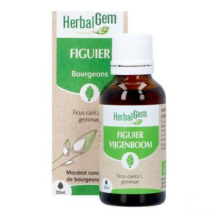 Herbalgem Figuier Bio 30 ml