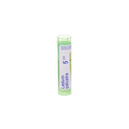 Ledum Palustre 5CH Gr 4g  -  Boiron