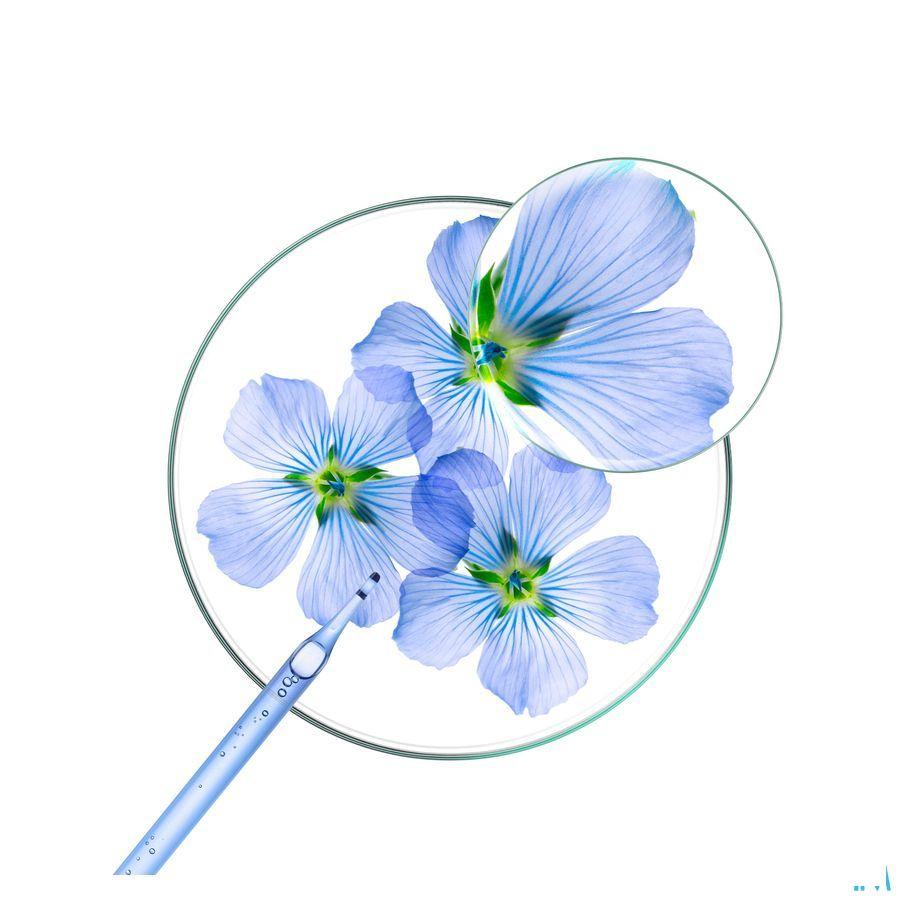 Klorane Capil. Shampoo Vlas 400 ml