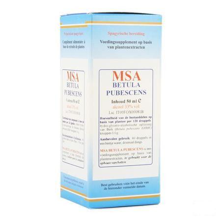 Betula Pubescens Msa Maceraat Druppels 50 ml  -  Herboplanet