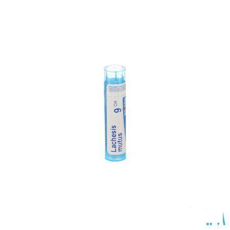 Lachesis Mutus 9CH Gr 4g  -  Boiron