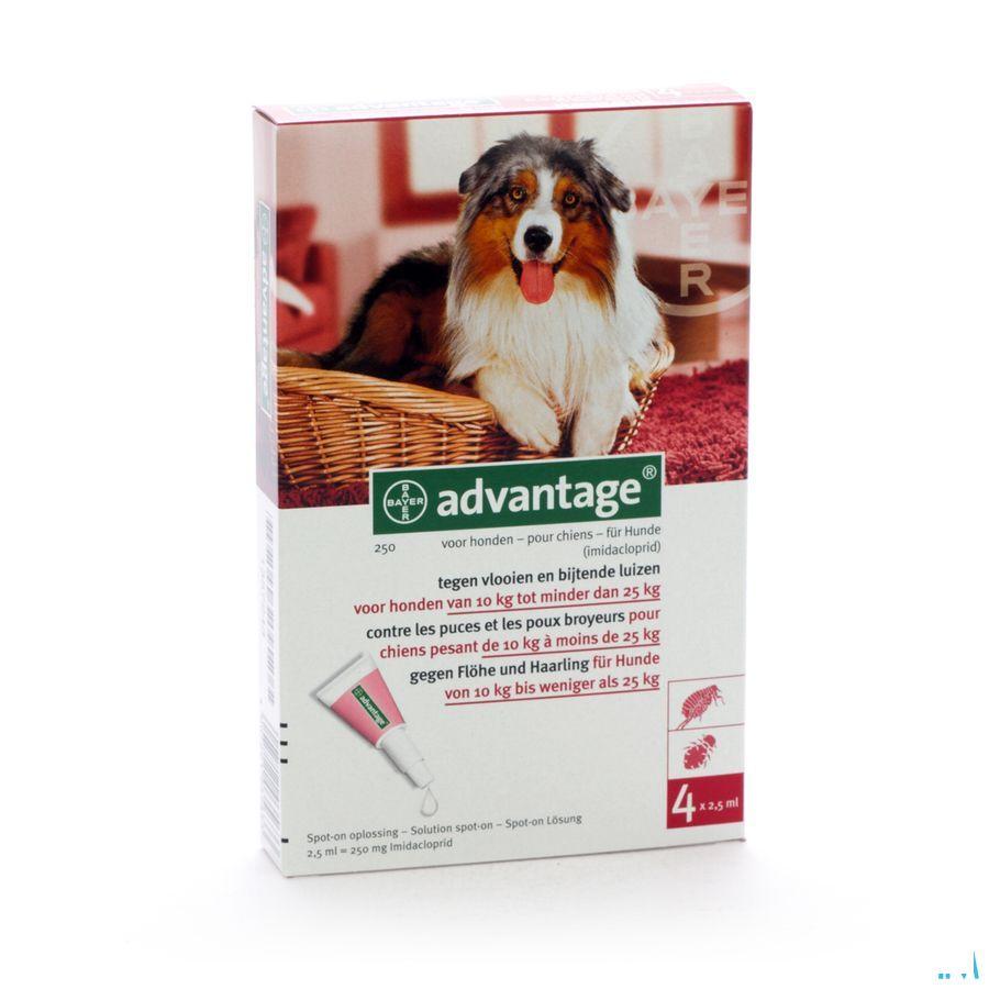 Advantage 250 Chiens 10