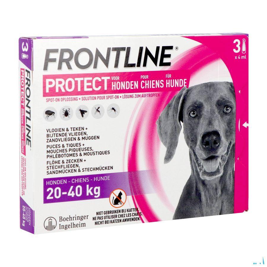Frontline Protect Spot On Sol Chien 20-40Kg Pipet3