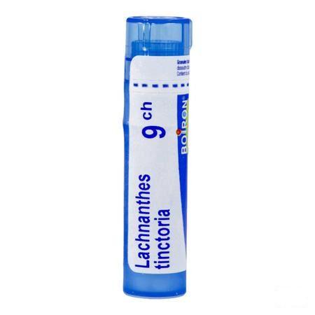 Lachnanthes Tinctoria 9CH Gr 4g  -  Boiron