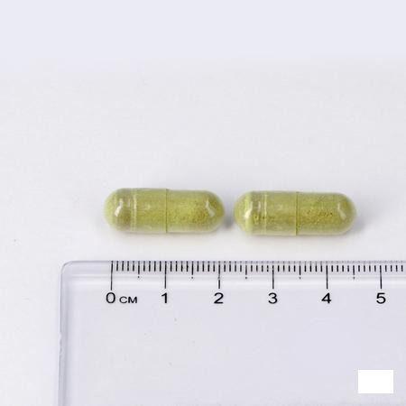 Lepivits Circu Plus Caps 60 Nf  -  Lepivits