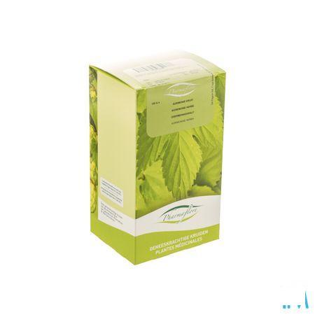 Agrimonie-leverkruid Doos 100 gr  -  Fagron