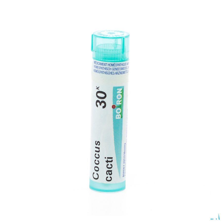 Coccus Cacti 30K Gr 4g  -  Boiron