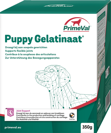 Primeval Puppy Artrose Gelatinate 350 gr 