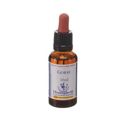 Healing Herbs Gorse 30 ml
