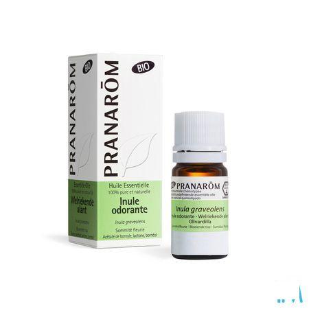 Inule Odorante Bio Huile Essentielle 5 ml  -  Pranarom