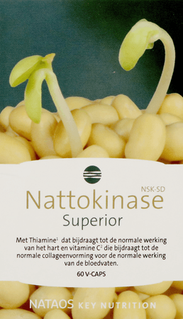 Nattokinase Nsk-Sd Caps 60X100 mg