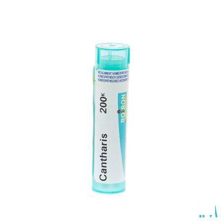 Cantharis 200K Gr 4g  -  Boiron