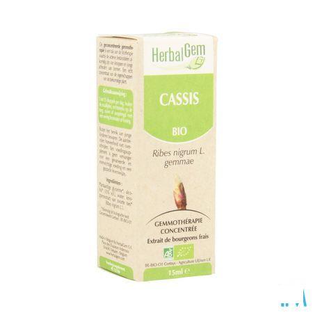 Herbalgem Zwarte Bes Maceraat 15 ml  -  Herbalgem
