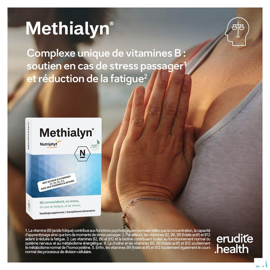 Methialyn Comprimes 4x15  -  Nutriphyt