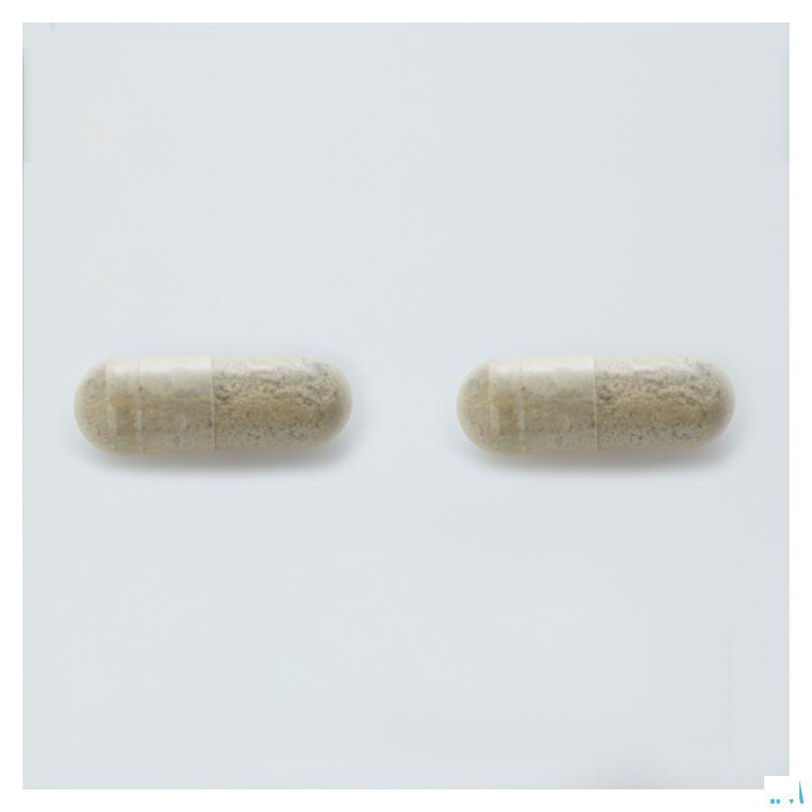 Arkocaps Bacopa Plantaardig 45  -  Arkopharma