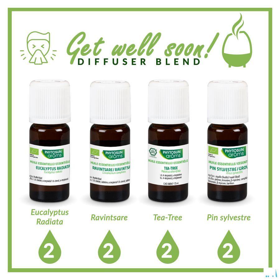 Phytosun Ravintsare Fr-bio-01 5 ml
