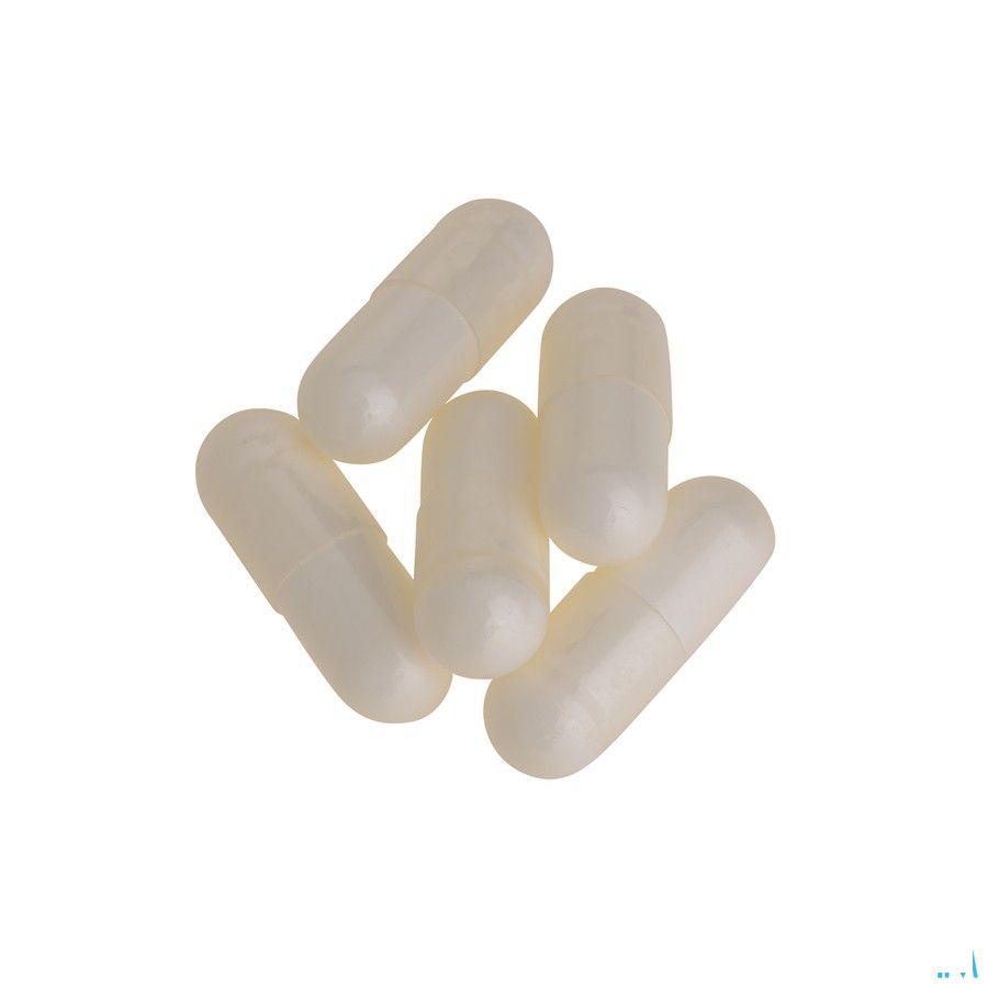 GSh Plus Caps 60  -  Energetica Natura