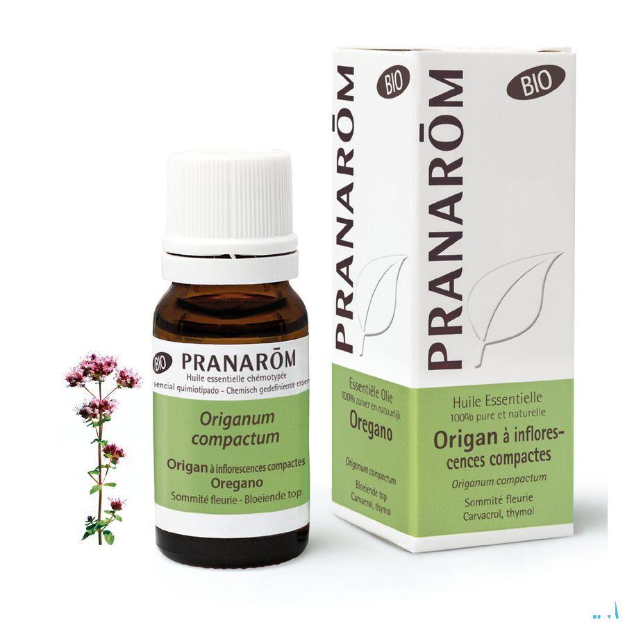 Oregano Inflor. Bio Essentiele Olie 10 ml  -  Pranarom