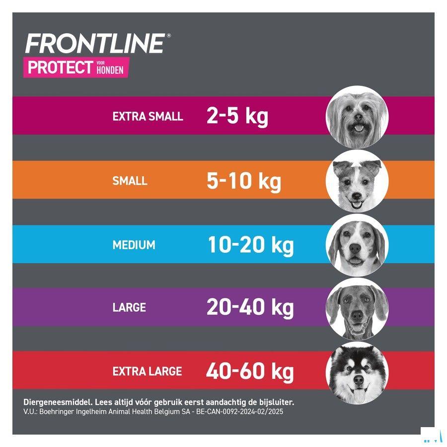 Frontline Protect Spot On Opl Hond 5-10Kg Pipet 3